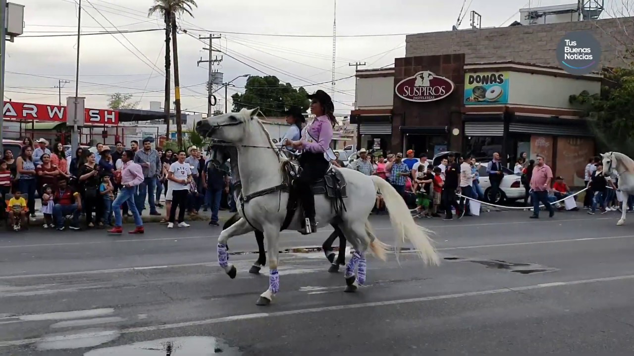 ExpoGan Hermosillo 2019 Eventos de Ganadería 2019 YouTube