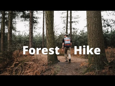 Hiking Solo in the Netherlands | Walking Through a mysterious dutch Forrest named Leudal bos