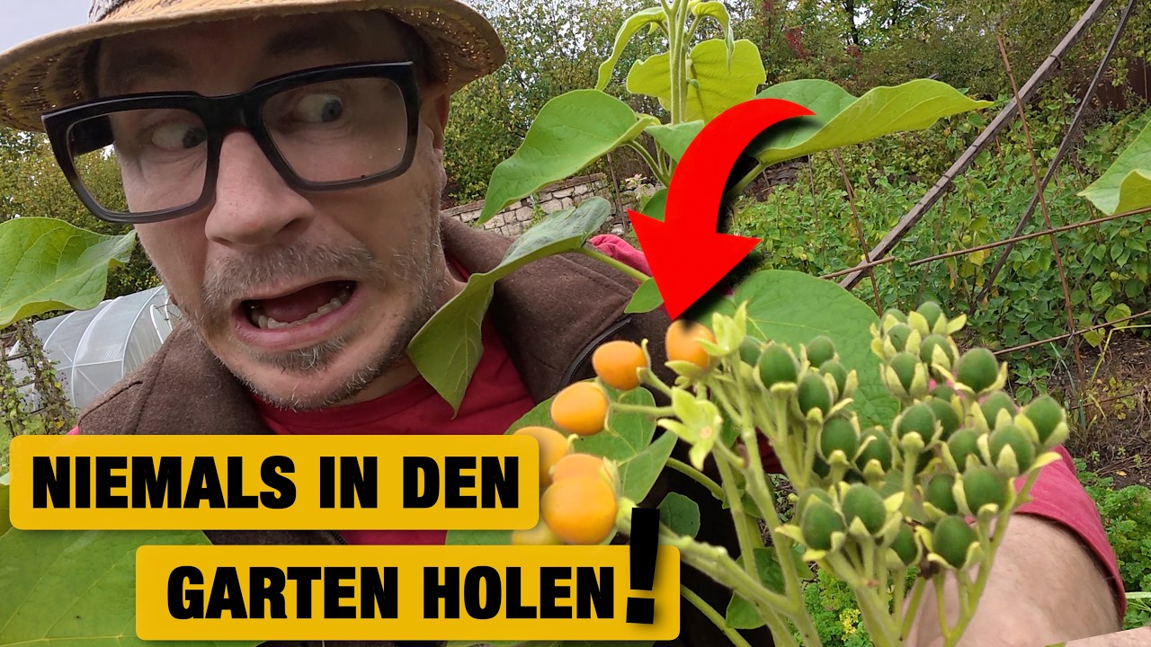 Niemals in den Garten pflanzen! Kürbis mit Käse überbacken | Rigottis Wohnmobil | Rigottis Vater