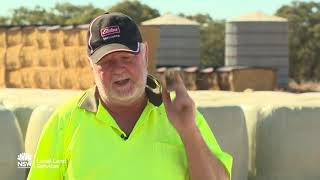 Lessons from the Drought: Irrigated summer forage