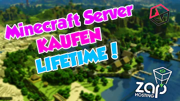 Was kostet ein Minecraft Java Server?