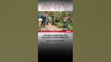 Cứu một người rơi xuống vực trong rừng sau 4 ngày #antv #shorts #tintuc #tainan #laichâu