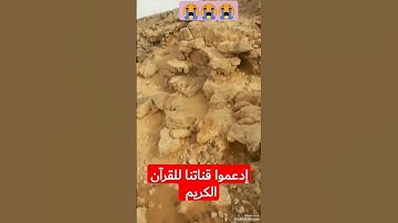 هاوي الخرجات الصحراوية قناة 2 / مقطع خرافي يُعْجَزْ تقليده للقارئ الأسطورة محمد ص المنشاوي رحمه الله