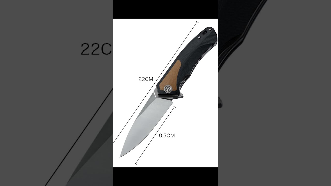 Outdoor Petrified fish folding knife FX117