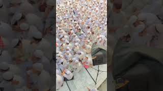 اسلامی تبلیغی مرکز💯🥀Wifaq Ul Madaris💯🥀