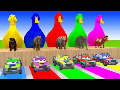 Long Slide Game With Cow Elephant Gorilla Hippopotamus Tiger 3d Animal Game Funny 3d Animals