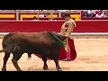 Is Spain’s bullfighting in danger