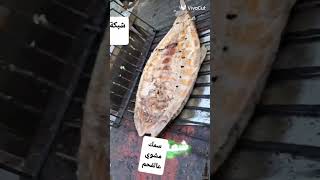 محل سمك مشوي.مملح.على الفحم سوق.زياره.طرف بغداد.مشوي سمك.store fish