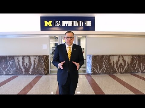 introducing-the-lsa-opportunity-hub