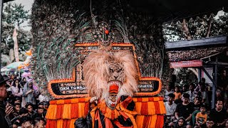 ngeri ‼️ solah jos pembarong ganteng Reog Ponorogo terbaru mudo Taruno