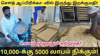 5000 Invest பண்ணா, 5000 Profit கிடைக்கும் | Imported From South Africa | New Tamil Business Ideas