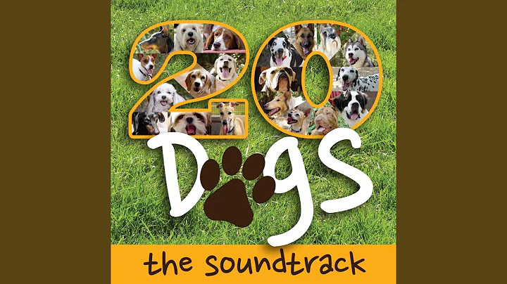 20 Dogs Theme Song