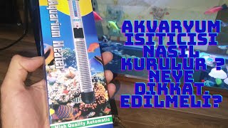 Akvaryum Isiticisi Nasil Kurulur?? Nelere Di̇kkat Edilmeli??