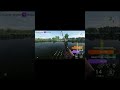 Unique Common Carp #26