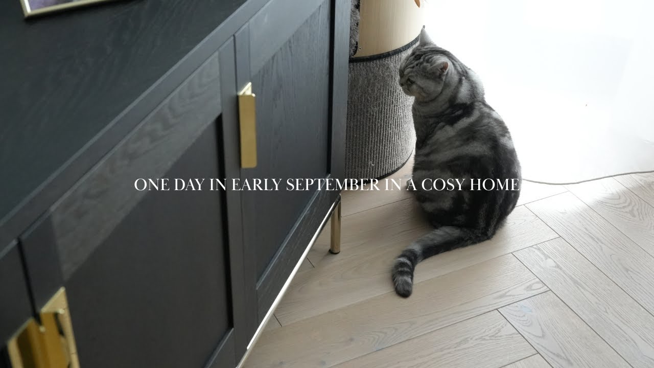 A cosy Autumn day in Tallinn. Cooking and creating my own home space.