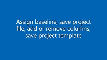 Primavera P6 007 export and import the xer file  assign the baseline - add remove columns - add bars