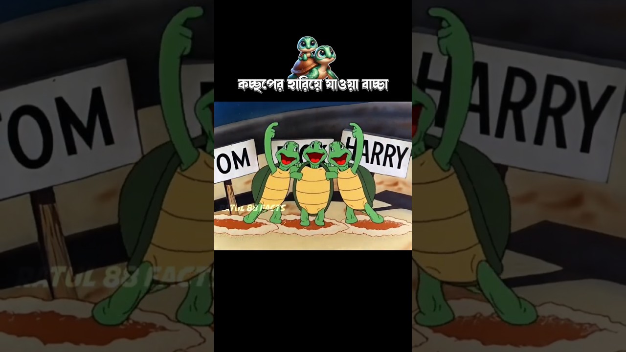 কচ্ছপের হারিয়ে যাওয়া বাচ্চা #3danimation #cartoon