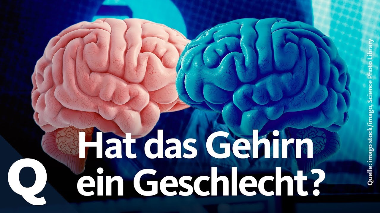 Wie das Gehirn die Seele macht: Erklärt von Gerhard Roth