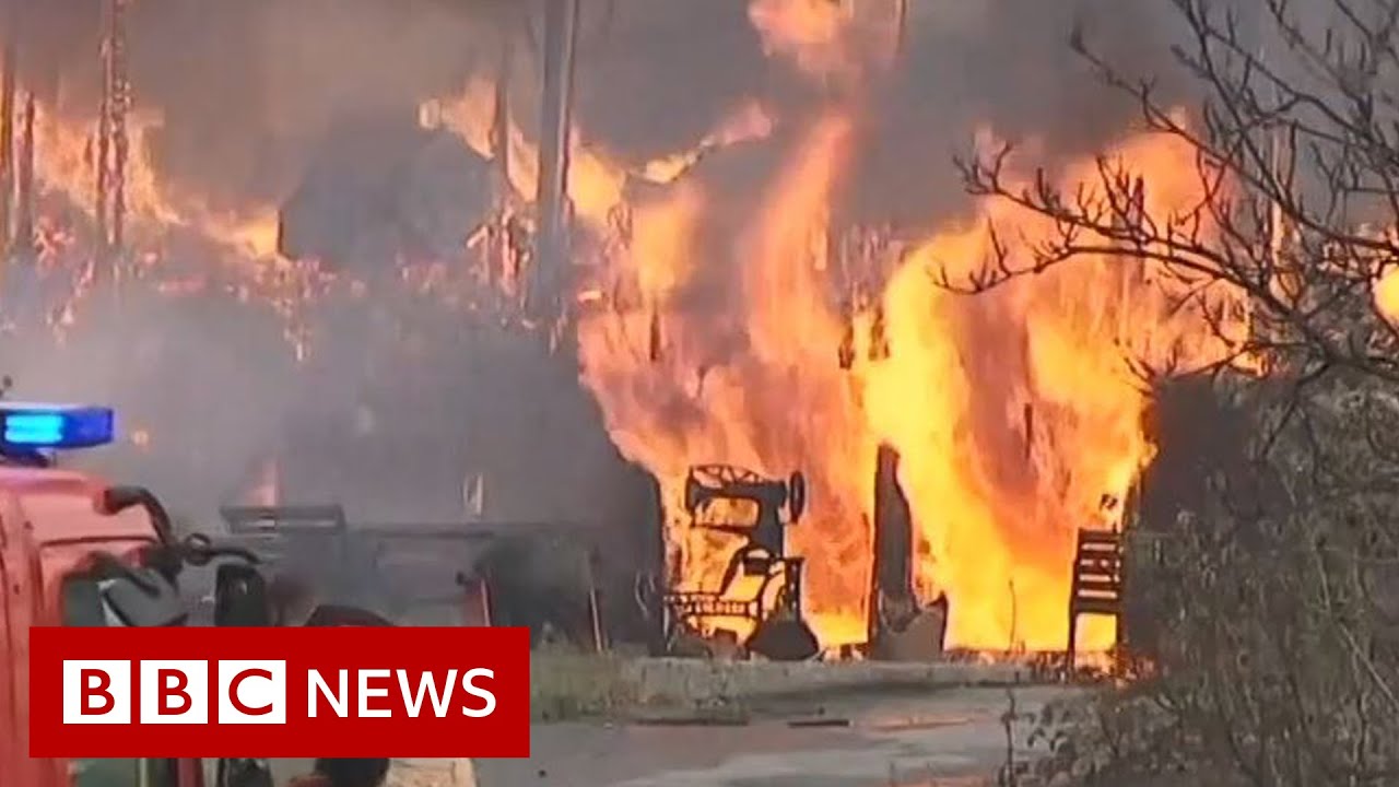 Wildfire in Norway sees more than 500 people evacuated - BBC News