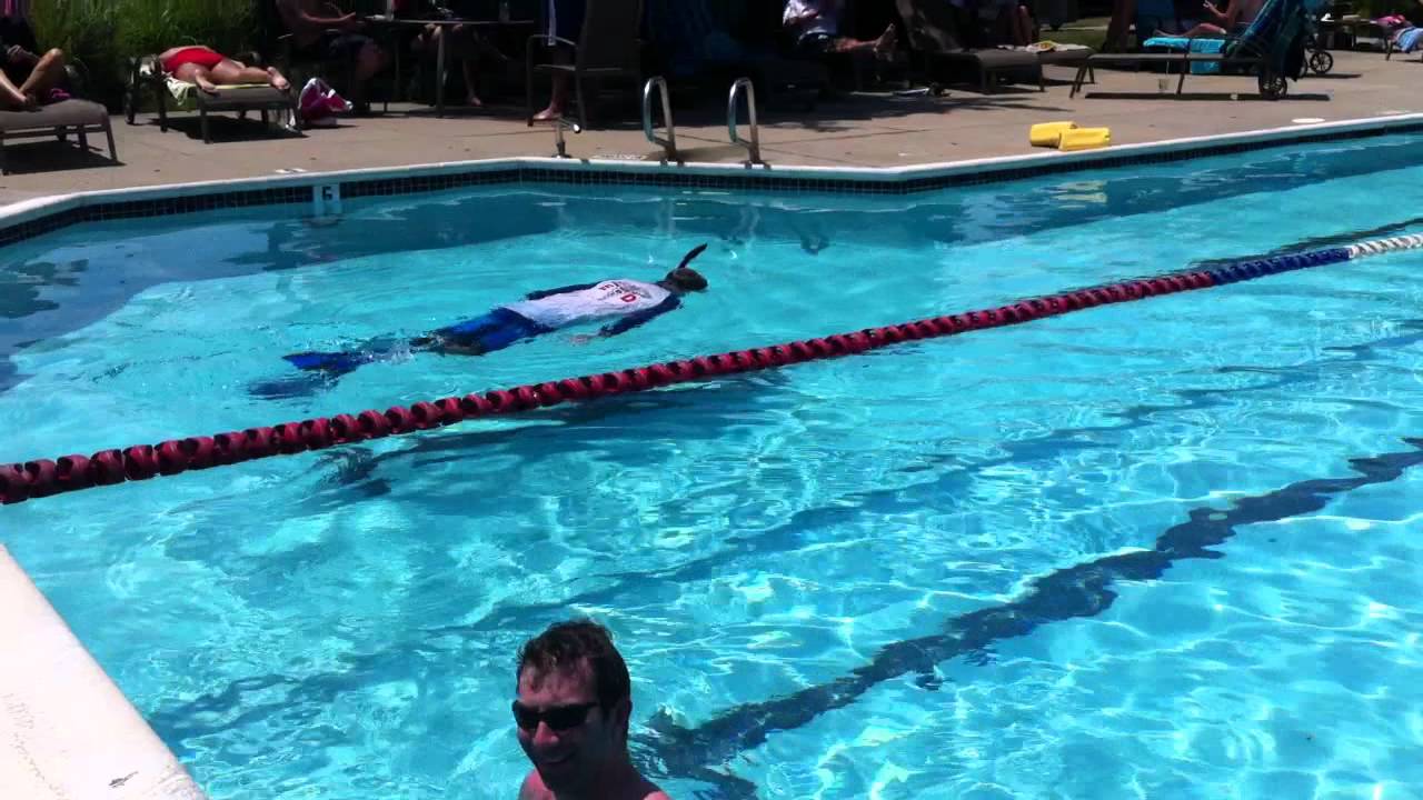 Who snorkles in a pool?? This guy does!!