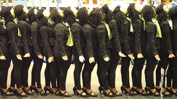 NC A&T - Alpha Kappa Alpha (Alpha Phi Chapter) Probate 3.4.2017