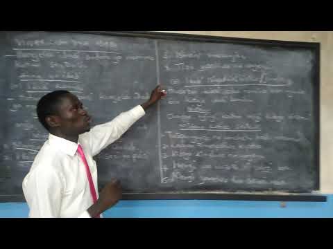 KISWAHILI LESSON: VIWAKILISHI VYA IDADI.