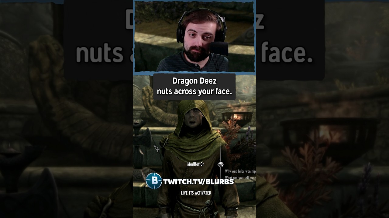 Skyrim Twitch Chat mod goes hard