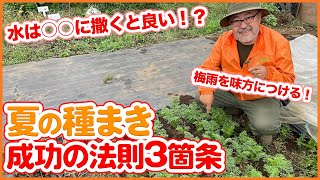 6月に植えるなら有機栽培のニンジンがオススメ！種まき、水のまき方、育て方を徹底解説！梅雨の雨を活かして栽培を成功させる【家庭菜園】【ペレット種子】