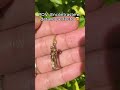 Collar de Personas Abrazando: Abrazo Eterno Para Parejas