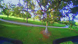 torrent tree fun