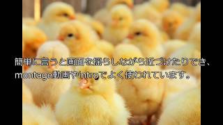 aviutl s shakeもどきを使ってみただけのお話