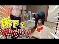 虫屋敷の床下がえらいことになっていました…
