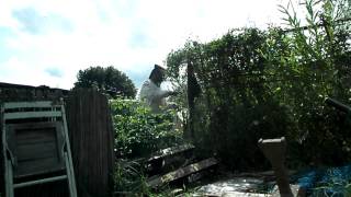 P7150058