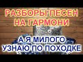 Разборы под гармонь! Как играть А я милого узнаю по походке!