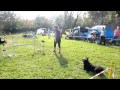 CROATIAN SHEEPDOG MAWLCH RUM AGILITY TRIAL NOVA GORICA の動画、YouTube動画。
