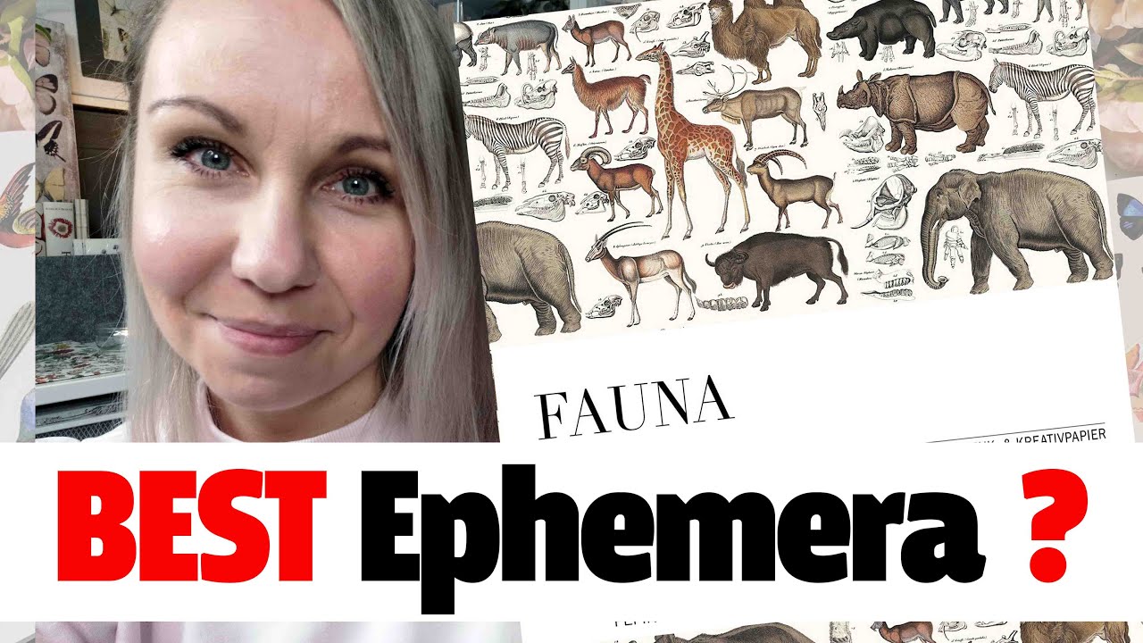 📖 Is this for ART COLLAGE ? Fauna: Gift & Creative Paper Book  ~ ✂️ Maremi's Small Art