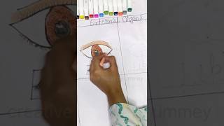External organs part -1l eye #eyes #viral #shortvideo #shortfeed #externalorgans #viralvideo