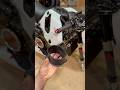 Custom 3D Printed Velocity Stacks for my DUCATI 1199 Swapped HONDA GROM #fyp #motorcycle #bikelife