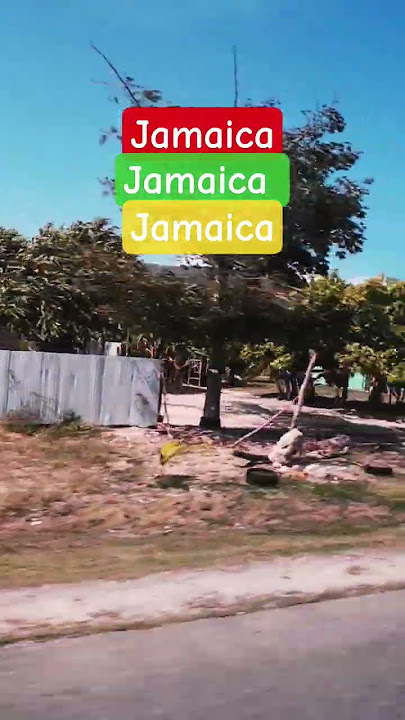 Jamaica Jamaica#fypシ゚viral #fyp #shorts #monaninja #jamaica