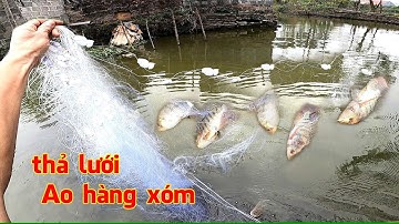 Thả lưới bắt Cá ao hàng xóm và cái kết