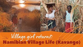 My Namibian Village life: Mahangu field | Kavango Cultural dance | Kavango River