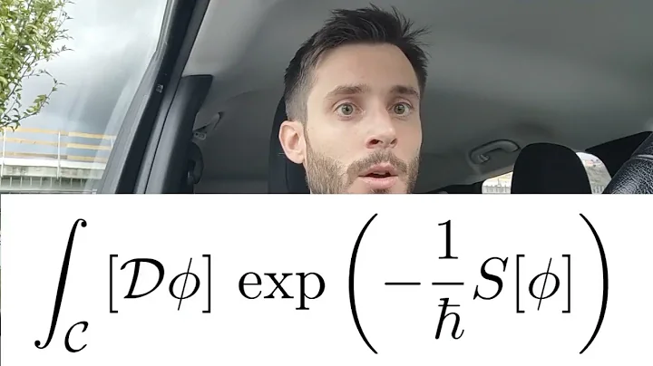 What is a path integral in Quantum Field Theory ?