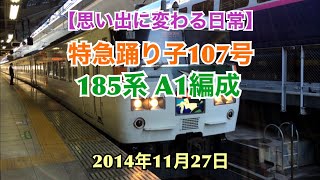 【思い出に変わる日常】特急踊り子107号 185系 A1編成 2014年11月27日