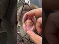 Relaxing Spa Day for a Monkey 😴#Monkey #CuteAnimals #AnimalTrust #RelaxingVideo #Wildlife #shorts