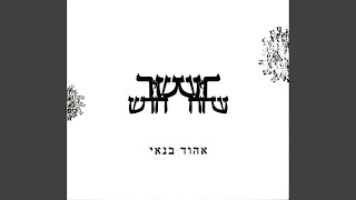 Video thumbnail of "Ehud Banai - מזמור לדוד"