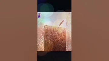 نموذج للوطني الشريف الولد الشقي في المنفى الكويت و مصر و العراق محمود السعدني بصوت الشيماء حسان 