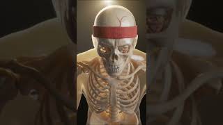 “Treadmill Until Failure 😱 Real Body Reaction” #apexhowl #shorts #facts #youtubeshorts