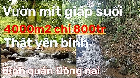 (Đã bán) Vườn mít giáp suối 4000m2 chỉ 800tr quá rẻ để làm nhà vườn nghỉ dưỡng ở đồng nai.