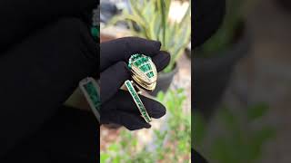 🐍💚 Luxury Snake Watch⌚#shortsfeed #contentcreator #viral #youtubeshorts #trending #jewelry#megaviral