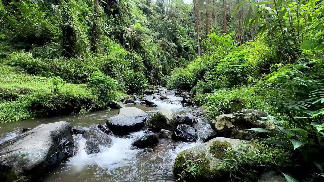 Soothing river sound by soft moving water keeping peaceful deep sleep steady through quiet nights